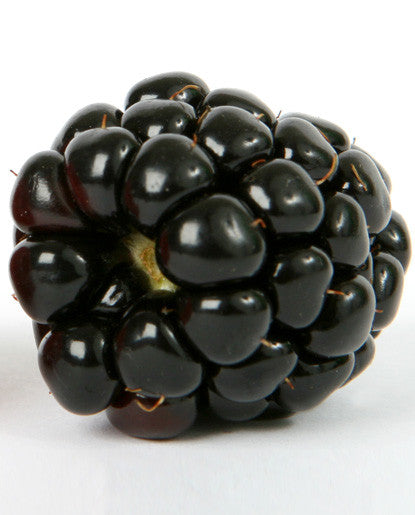 Black Raspberry Flavor - Water Soluble