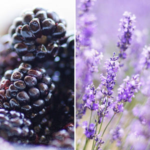 blackberry lavender