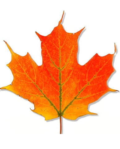 Maple Flavoring