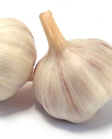 25X Garlic Flavor - Oil Soluble