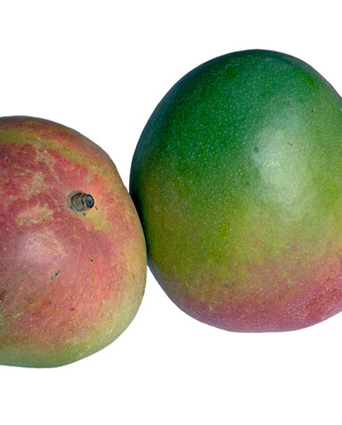 25X Mango Flavor - Water Soluble
