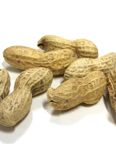 25X Peanut Butter Flavor - Water Soluble