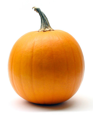 25X Pumpkin Flavor - Oil Soluble
