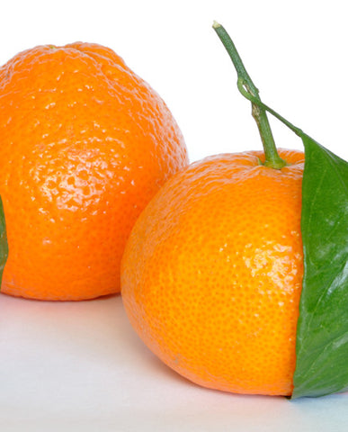 Tangerine Flavor - Water Soluble