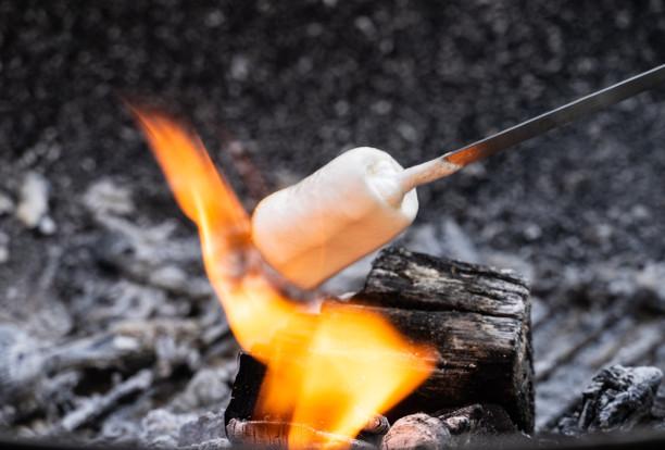 Toasted Marshmallow Flavor