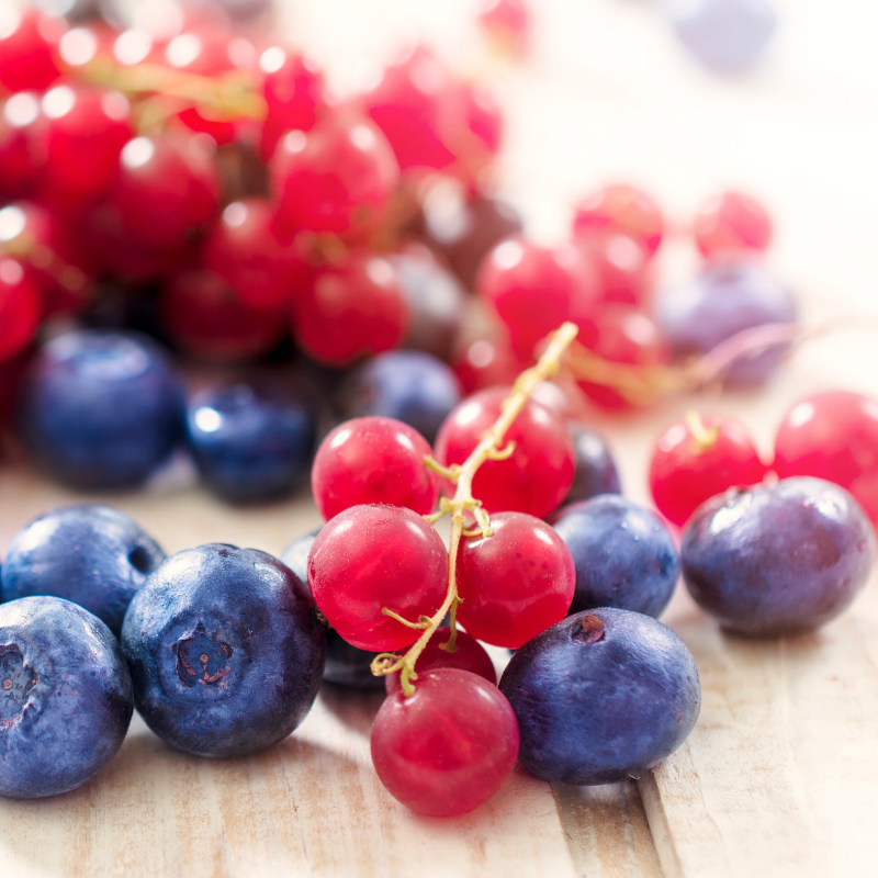 Wild Berry Extract - Water Soluble