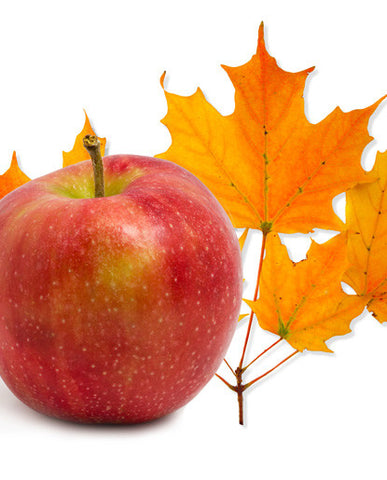Apple Maple Flavor