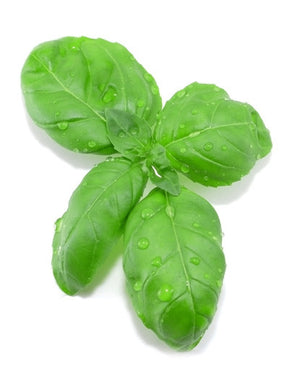 Basil Flavor