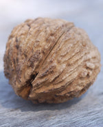 Black Walnut Flavoring - Water Soluble