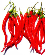 Chili Extract - Oil Soluble