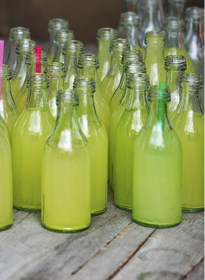 Citrus Mountain Extract - Water Soluble