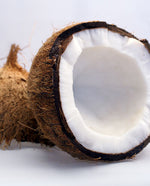 Coconut Extract - Oil Soluble
