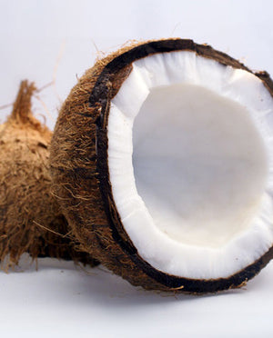 Coconut Flavor