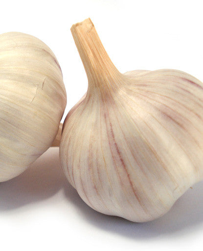 Garlic Flavor - Oil Soluble