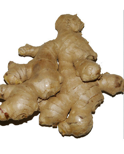 Ginger Extract - Oil Soluble
