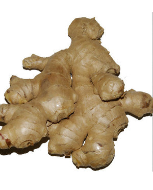 Ginger Oil