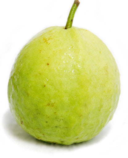 Guava Flavor