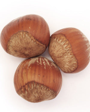 Hazelnut Oil