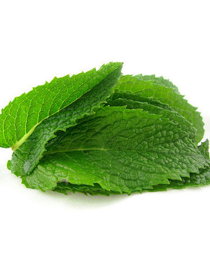 Oil Soluble Hard Oil Mint Extract