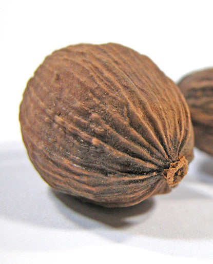 Nutmeg Extract - Oil Soluble – Bickford Flavors