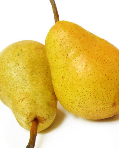 Pear Oil