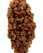 Raisin Extract - Water  Soluble